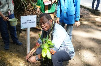 Gerakan Penanaman Sejuta Pohon