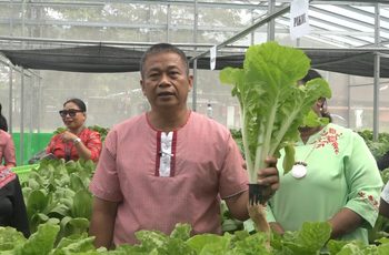 Unpatti Kembangkan Hidroponik sebagai Usaha Produktif dan Sarana Pembelajaran Mahasiswa